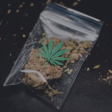 Imagem - Lei de Drogas